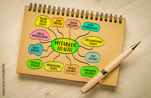 components and factors affecting metabolic health, infographics mind map sketch