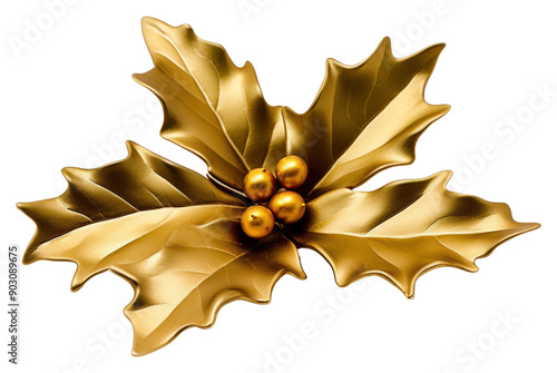 PNG Gold christmas holly jewelry brooch plant.