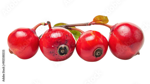 Red guarana on transparent background