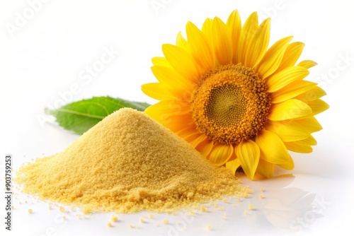 Vibrant yellow sunflower lecithin powder spills out of a small heap on a pristine white background, with a bright sunflower blossom blooming softly in the distance.