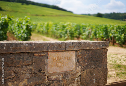 Romanée Conti vineyards in Burgundy, France