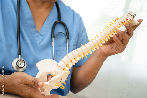 Asian doctor holding spinal nerve and bone model, Lumbar spine displaced herniated disc fragment for treatment medical in the orthopedic department.