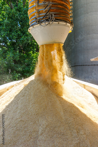 Industrial grain loading device for large containers to be transported