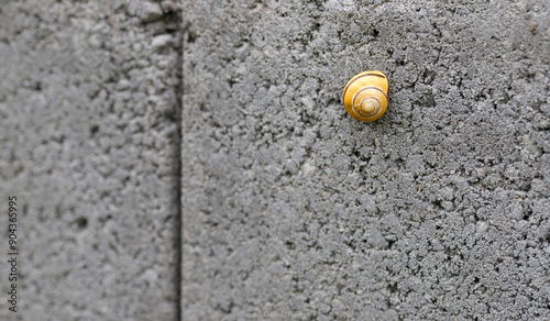 snail, snail on a block,