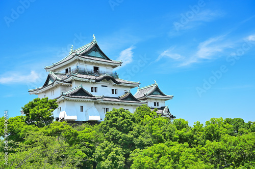 和歌山城天守閣の風景 和歌山県和歌山市