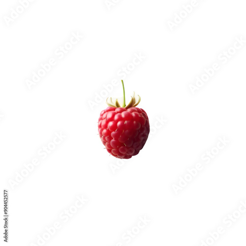 framboise fruit