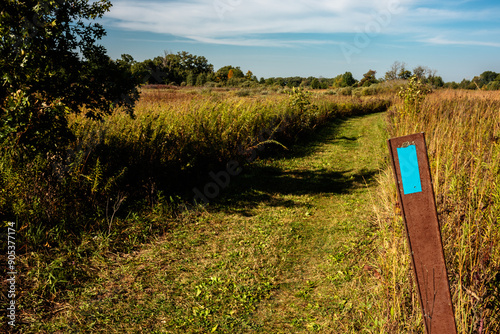 The blue marker from the National Scenic Ice Age Trail in John Muir Memorial Park, Montello, Wisconsin indicating a side route to the area parking lot. The trail blaze itself is yellow.