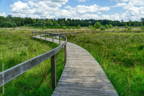 Schöner alter Holzsteg durch die Moorlandschaft im Diersfordter Wald im Sommer