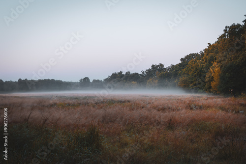 Herbstlicher Morgennebel auf einer weiten Wiese