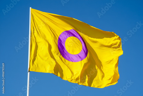 Flag of Intersex community waving on flagpole on a blue sky background.