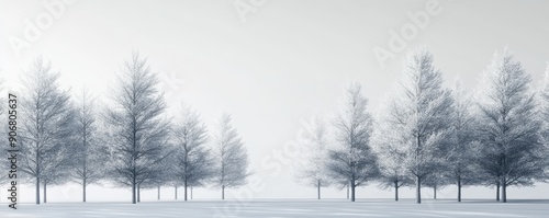 A serene winter landscape with a row of leafless trees covered in snow, creating a tranquil and peaceful scene under a soft, overcast sky.