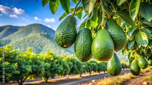 Lush green avocado trees with ripe fruit thrive in organic plantations under sunny Costa Tropical Andalusian skies, with ample copy space for adding text or design.