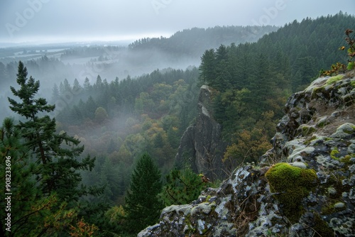 Springfield Mo. View of Cliff in Thurston Hills Natural Area with Evergreen Forest and Foggy Mountain