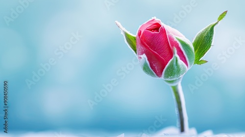 Close-up of a red rosebud with green leaves covered in frost, against a soft blue background. Symbolizes freshness and new beginnings.