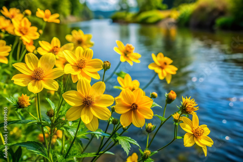 Vibrant yellow Bidens Leavis flowers bloom abundantly on a lush green riverbank, swaying gently in the breeze against a serene natural water backdrop.