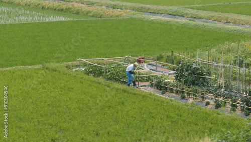 Glimpses of Japan, near Lake Biwa, from the Shinkansen