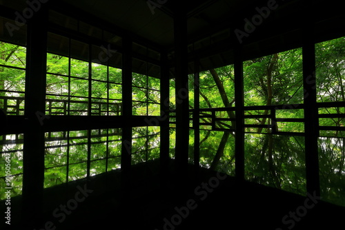 岩手県 新緑の風景