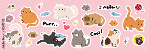 Set of cute cat sticker vector. Lovely cat and friendly doodle pattern in different poses and breeds. Adorable funny pet and many characters hand drawn collection for T-shirt,sticker, print, pet shop.