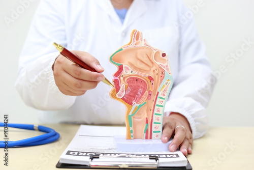 The respiratory system enables breathing, delivering oxygen to the blood and removing carbon dioxide. It includes the nose, trachea, lungs, and diaphragm, crucial for cellular respiration and overall 