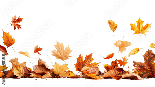 Autumn leaves in various shades of orange and yellow falling and scattered on a white background. Perfect for seasonal themes and designs.