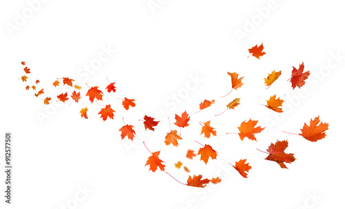 Autumn leaves swirl in the wind. Fall leaves cutouts