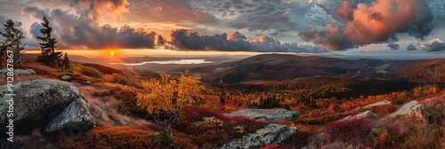 acadia national park 