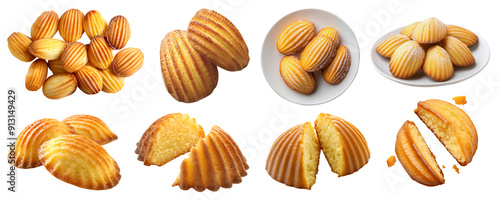 French Madeleine Sponge butter shell shape little cake pastry dessert on transparent cutout, PNG file. Many assorted different angles, stack, broken, plate, pile. Mockup template for artwork design