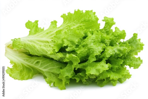 Fresh green lettuce leaf isolated on white background