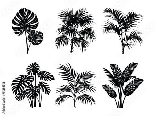 Tropical Plant Silhouette, Tropical palm leaves Silhouette Vector Illustration. Set of black silhouettes of tropical leaves palms.