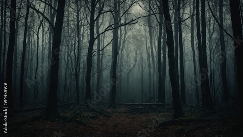 Gloomy spooky forest trees landscape with dark foggy light