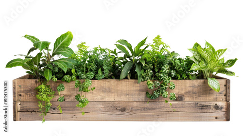 Wooden planter box with plants on transparent background