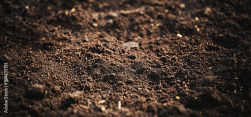 Rich Dark Soil Detailed Close-Up Revealing Textures and Nutrients in an Outdoor Garden Bed