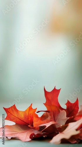 Autumn maple leaves background, fall backdrop