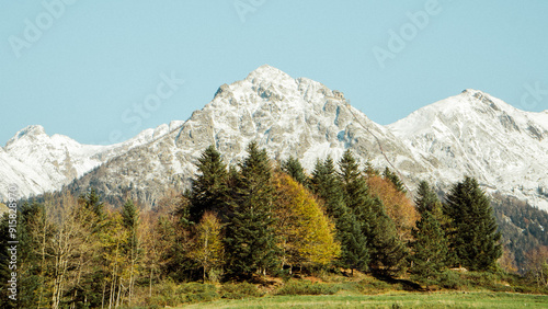 Paisaje de montaña nevada con árboles