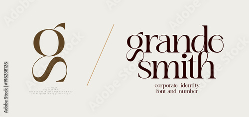 GS logo font and number. ci corporate identity modern luxury. Typography elegant beauty lettering serif italic fonts decorative brand wedding vintage retro logos. vector illustration