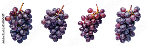 purple grapes on a white background