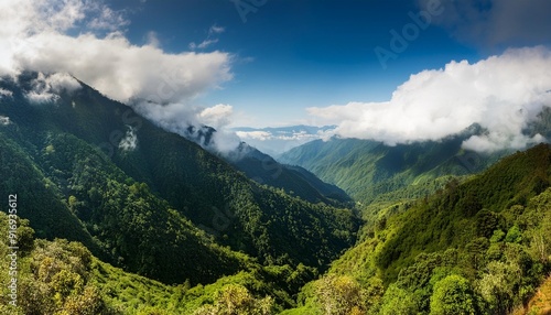 scenic lush green tropical landscape panorama with low clouds in the mountains of arunachal pradesh india