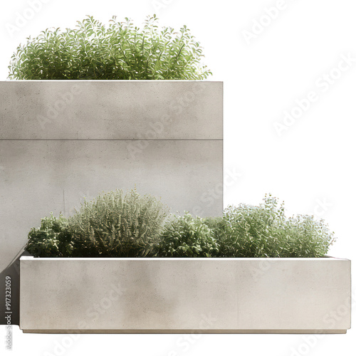 Modern concrete planter filled with lush greenery, perfect for enhancing any outdoor or indoor space with a touch of nature. transparent background