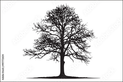 Tree without leaves, bare tree, leafless tree, winter tree, dormant tree, dead-looking tree, skeletal tree, branchy tree, twiggy tree, naked tree, exposed tree, stripped tree, barren tree, unadorned t