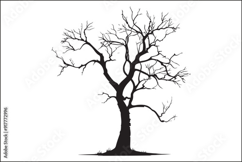 Tree without leaves, bare tree, leafless tree, winter tree, dormant tree, dead-looking tree, skeletal tree, branchy tree, twiggy tree, naked tree, exposed tree, stripped tree, barren tree, unadorned t