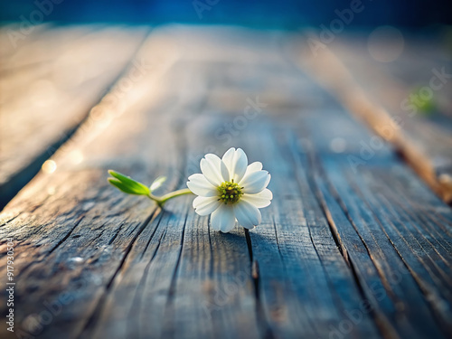 A delicate, white flower lies on a weathered, wooden table, surrounded by subtly blurred, out-of-focus background, evoking feelings of gentle sadness and quiet contemplation.