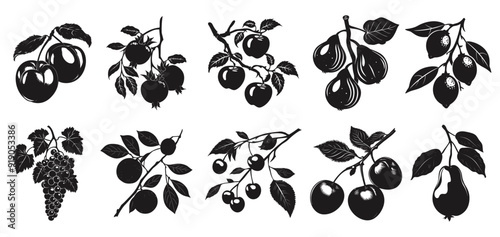 Black silhouettes of garden fruits on the branch. Lemon peach pomegranate fig apple plum orange cherry grapes pear. Harvest season. Agriculture and gardening. Isolated vector clipart collection