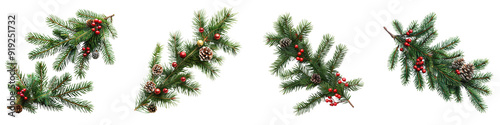 tree branch isolated on a transparent background - Featuring lush, green pine needles with festive decorations - Clean and detailed composition with soft, even lighting - Studio photography highlighti