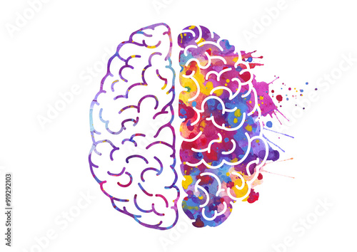 Watercolor brain, left and right hemispheres illustration