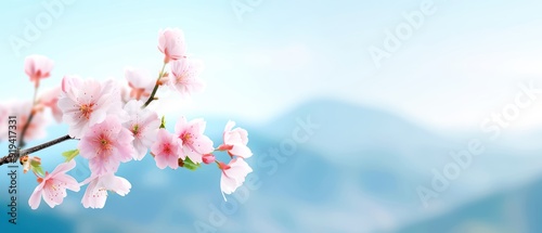 Delicate cherry blossoms with a scenic mountain backdrop, capturing the serene beauty of nature in the spring season.