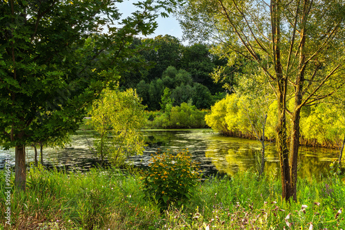 Small pond in a green area near a house community in Ancaster, Ontario, Canada