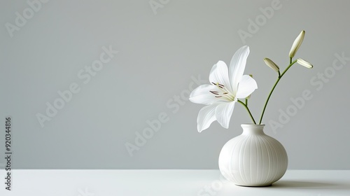 Vase, flower, minimalist. Generative AI