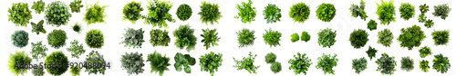 Top view of various decorative green bush isolated on white background. Generative AI.