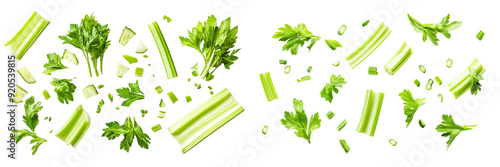 Set of a green celery leaves in various stages of chopping, with some leaves flying and others lying still, isolated on transparent background.