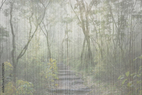 Path in a mysterious tropical forest. Illustration for decoration, walpaper, poster, card.